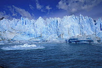 The front of the Perito Moreno glacier and Lago Argentino. Ice is pushing from behind, so the glacier brakes down in huge blocks that fall in the water, Los Glaciares National Park, Patagonia, Argenti...