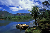 A small boat moored up on the banks of a river,  Grande Terre, New Caledonia, Melanesia