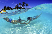 Couple snorkelling in clear blue water, Maldives