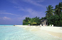 White sand beach with clear water, palm trees and sun loungers, Maldives.