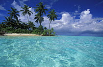 Uninhabited island with palm trees, Maldives, Indian Ocean.
