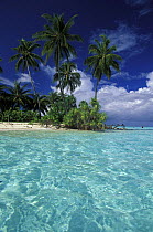Uninhabited island with palm trees, Maldives, Indian Ocean.