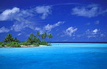 Tropical island with clear blue water, Maldives.