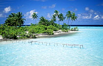 Tropical island with jetty, Maldives.