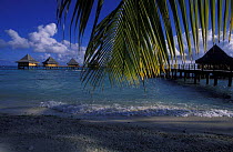 Palm leaves in front of traditional Tahitian styled bungalows on stilted platforms, Kia Ora resort, Rangiroa, Polynesia.