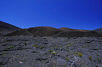 People walking on the border of the crater, "Formica Leo", on the volcano Piton de la Fournaise, La Réunion, Indian Ocean