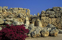 Temples of Ggantija, megalitihic temples from 3600 to 3000 BC, Gozo, Malta
