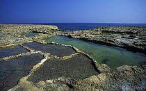 Salt pans dug in rock, the production of sea salt has a long tradition on the Mediterranean island of Gozo. Marsalforn, Gozo, Malta