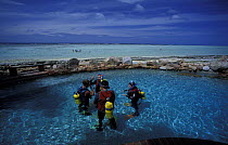 Diving lesson in Heron Island swimming pool, Great Barrier Reef, Australia