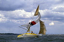 Blowout during the Admiral's Cup for "Corum Rubis" on the Solent as her mainsail tears and the spinnaker loses control, 1993.