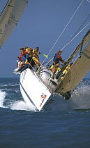 "America True" team train for their America's Cup campaign in the ID48 at Key West Race Week, USA.