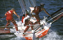 Crew change sides through a tack on 18ft skiff "Xerox" in Sydney, Australia.