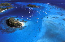 Yachts anchored close to the reef at Tobago Cays in the Caribbean.