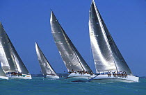 Crews on the windward rail at the start of the Key West Race Week, Florida, USA 1997