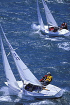 Yngling racing upwind off Newport, Rhode Island, USA