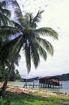 Palafite house on Balambangan Island, Sabah Borneo.