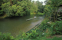 Longboats on Delok river under the Nanga Sumpa longhouse, Sarawak, Borneo.  2002