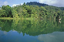 Reflections of rainforest at Ulu Batang Ai reservoir, Sarawak, Borneo. 2002
