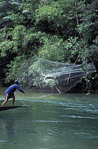 Iban man from the Nanga Sumpa longhouse throwing a castnet from a longboat on Delok river, Borneo. 2002