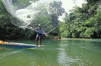Iban man from the Nanga Sumpa longhouse throwing a castnet from longboat on Delok river, Borneo. 2002