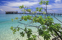 Jetty and dive centre from the beach of Lankayan Island, Sabah, Borneo.