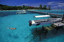 Snorkeling off the pier at Lankayan island, Borneo. Model released.