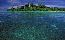 Lankayan island, Sabah, Borneo, Malaysia.