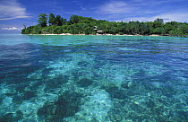Lankayan island, Sabah, Borneo, Malaysia.