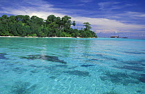 Lankayan Island, Borneo.