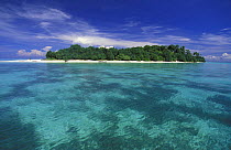 Lankayan Island, Sabah, Borneo.