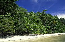 Beach on Walea island, Toigan islands, Sulawesi, Indonesia.