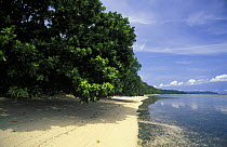 Deserted beach, Walea island, Toigan islands, Sulawesi, Indonesia.