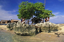Palafitte cottages built on stilts, southern tip of Walea Island, Toigan Islands, Sulawesi, Indonesia.