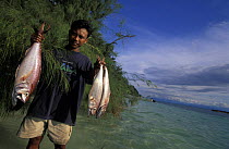 Fisherman with snappers. All the fish is now caught with non-destructive fishing methods in the Walea Marine reserve, Sulawesi.