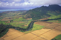 Landscape near the coast of south east Mauritius from Domaine du Chasseur nature reserve.