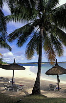 Tuessrock hotel beach with thatched umbrella sun-shades, loungers and palm trees, Mauritius.
