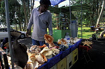 Man selling shells, corals and starfish at a stall in Mauritius.