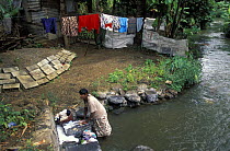 Woman washing clothes on flat stones, Mauritius.