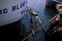 Children in small handmade canoes gather around the boats with tourists aboard asking them to throw coins for them to dive after. Palawan, Philippines.
