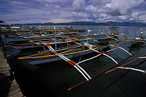 Bangkas / bankas the traditional Philipppino outrigger boats in the harbour of Puerto Princesa, Palawan, Philippines.
