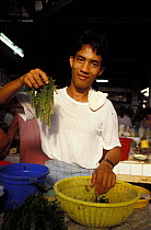 Man selling sea grapes (caulepra racemosa) at food market, Puerto Princessa, Philippines.  2001