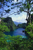 Limestone cliffs and emerald coloured water in lagoon seen from trail that leads to Kayangan Lake, Coron Island, Palawan, Philippines.