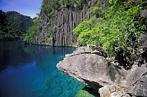 Limestone cliffs at Kayangan Lake / Blue Lagoon, Coron Island, Northern Palawan, Philippines.