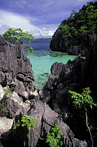 Sharp limestone-cliffs close to Barracuda Lake, Coron, Phillipines.