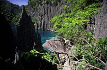 Limestone cliffs at Kayangan Lake / The Blue Lagoon, Coron Island, Northern Palawan, Philippines