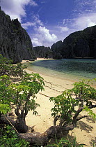 Sandy beaches and limestone cliffs on Coron, Palawan, Philippines.