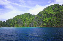 Limestone cliffs on Coron island in the northern part of Palawan, Philippines.