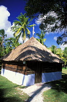Traditional thatched building, Ile des pins (Isle of Pines), New Caledonia, Melanesia.