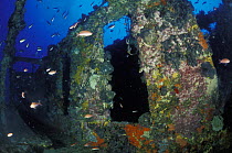 Bowfield wreck, formerly called "Relitto del Faro" (the lighthouse wreck), Messina, Italy.