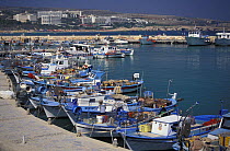 Fishing boats, Aya Napa, Cyprus